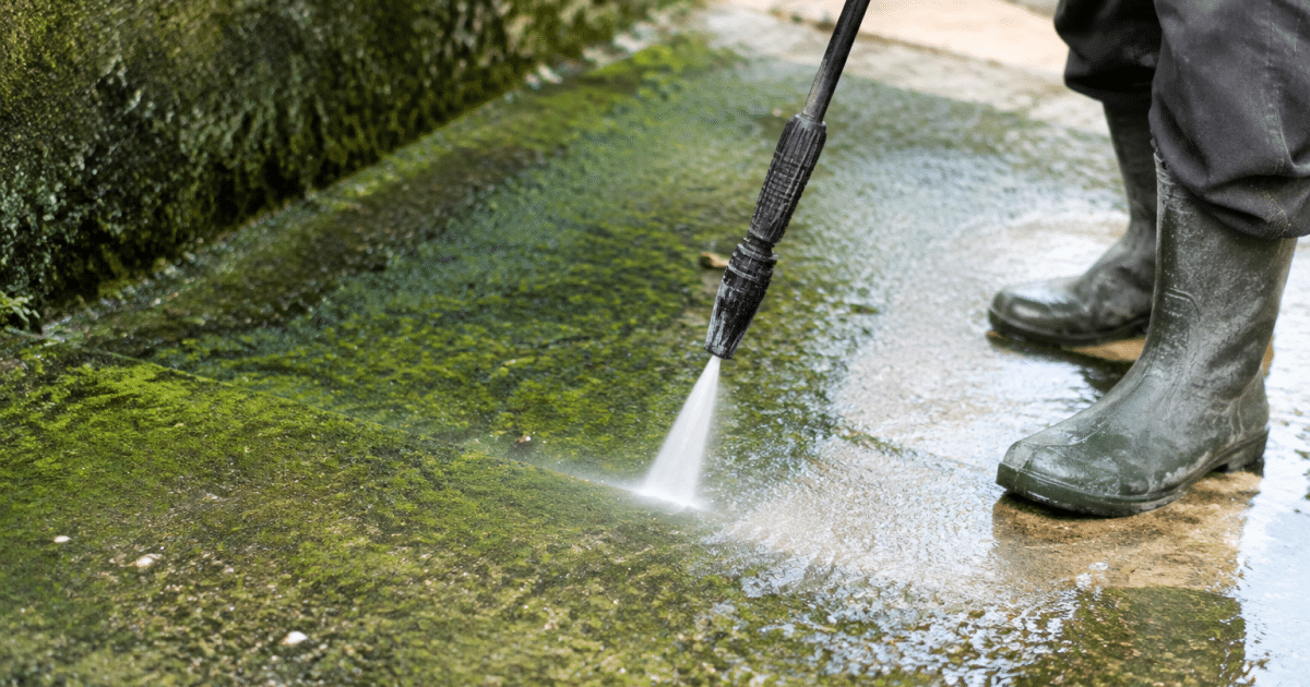 Surface beton recouverte mousse verte humide nettoyage